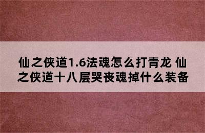 仙之侠道1.6法魂怎么打青龙 仙之侠道十八层哭丧魂掉什么装备